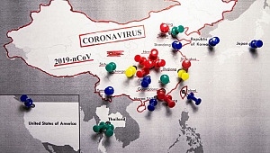 Koronavirüs Canlı Harita - Gerçek Zamanlı (Coronavirus Live Map)