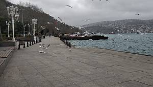 Koronavirüs Türkiye'den Ne Zaman Gidecek