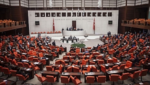Sağlıkta şiddetin önlenmesine ilişkin Önerge