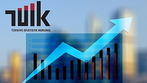 Güncel TÜİK İstatistiklerine Sitemizden ulaşabilirsiniz.