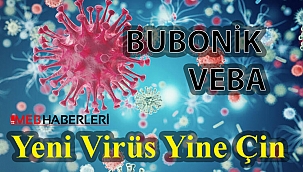 Yeni Virüs Yine Çin