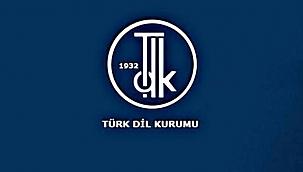 Optimum Ne Demek? Tdk'ya Göre Optimum Kelime Anlamı Nedir, Nasıl Kullanılır?